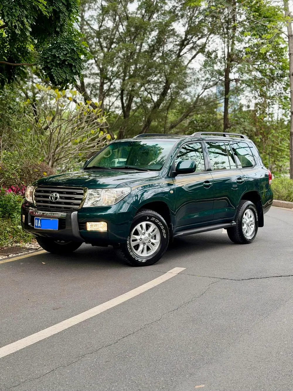 Toyota Land Cruiser, 2010