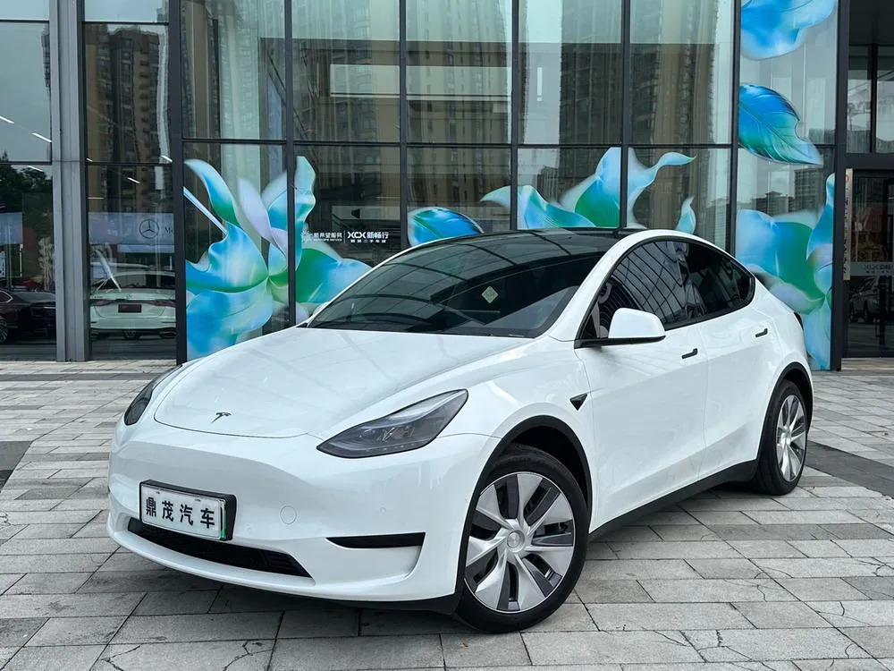 Tesla Model Y, 2022