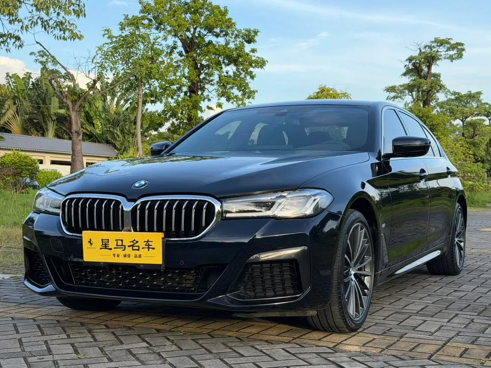 BMW 5-Series 530Li Leading Version M Sport, 2023 — фото 1