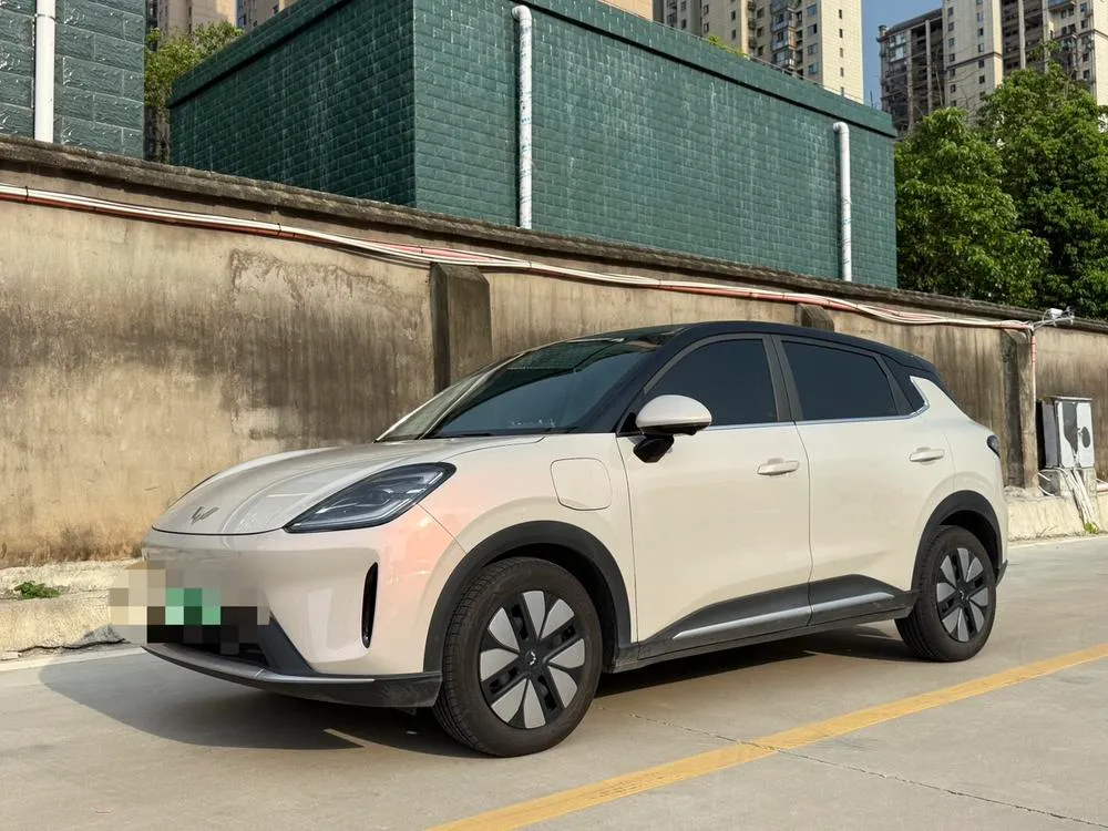 Wuling Bingo S, 2025