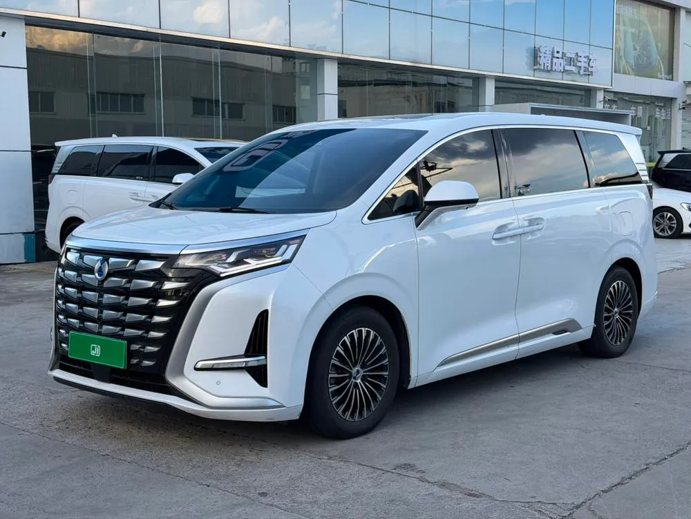 Denza D9 DM, 2022
