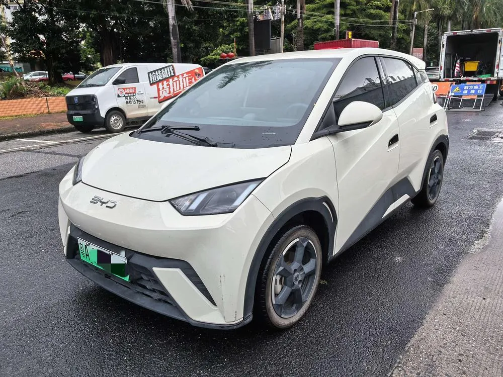 BYD Seagull, 2023