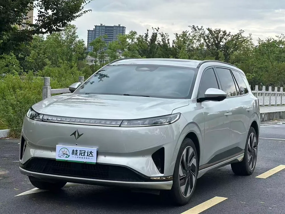 Dongfeng Yipai 008, 2024