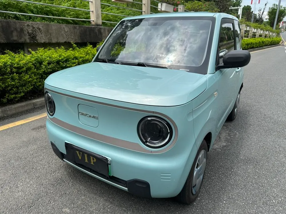 Galaxy Panda, 2023