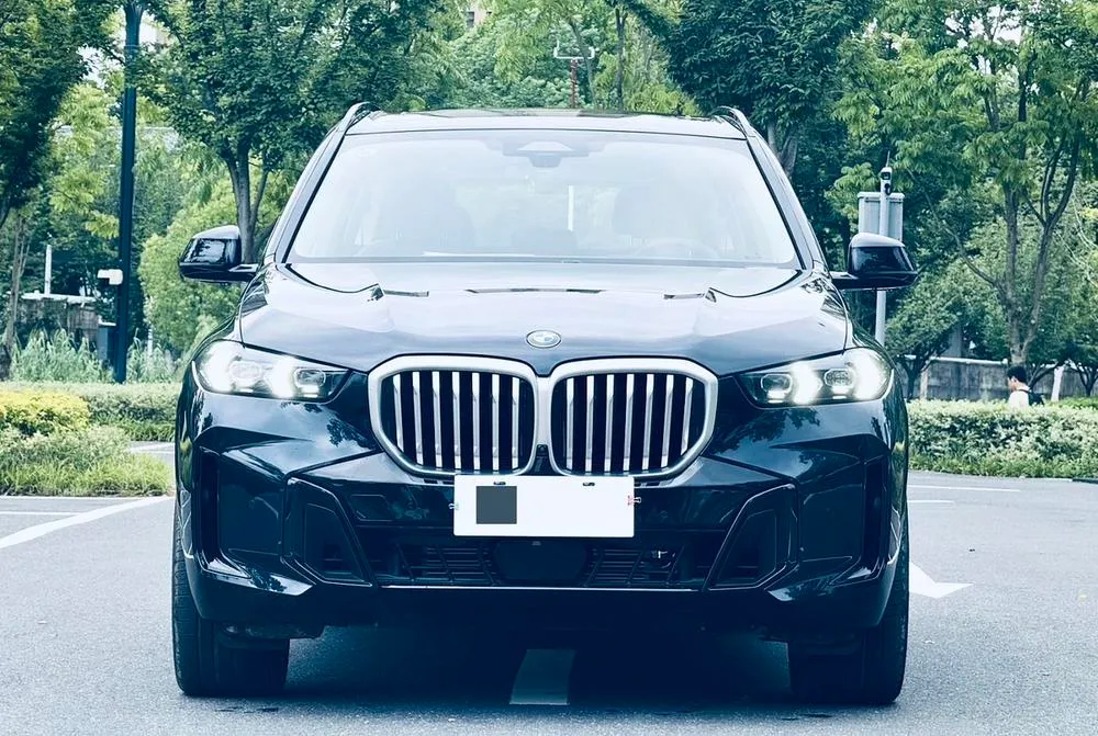BMW X5 xDrive30Li Prestige Version M Sport, 2023 — фото 1