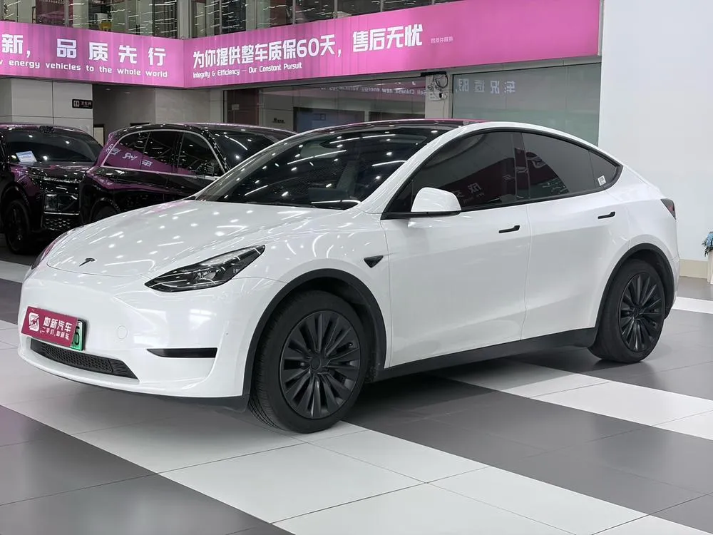 Tesla Model Y Edition, 2024 — фото 1