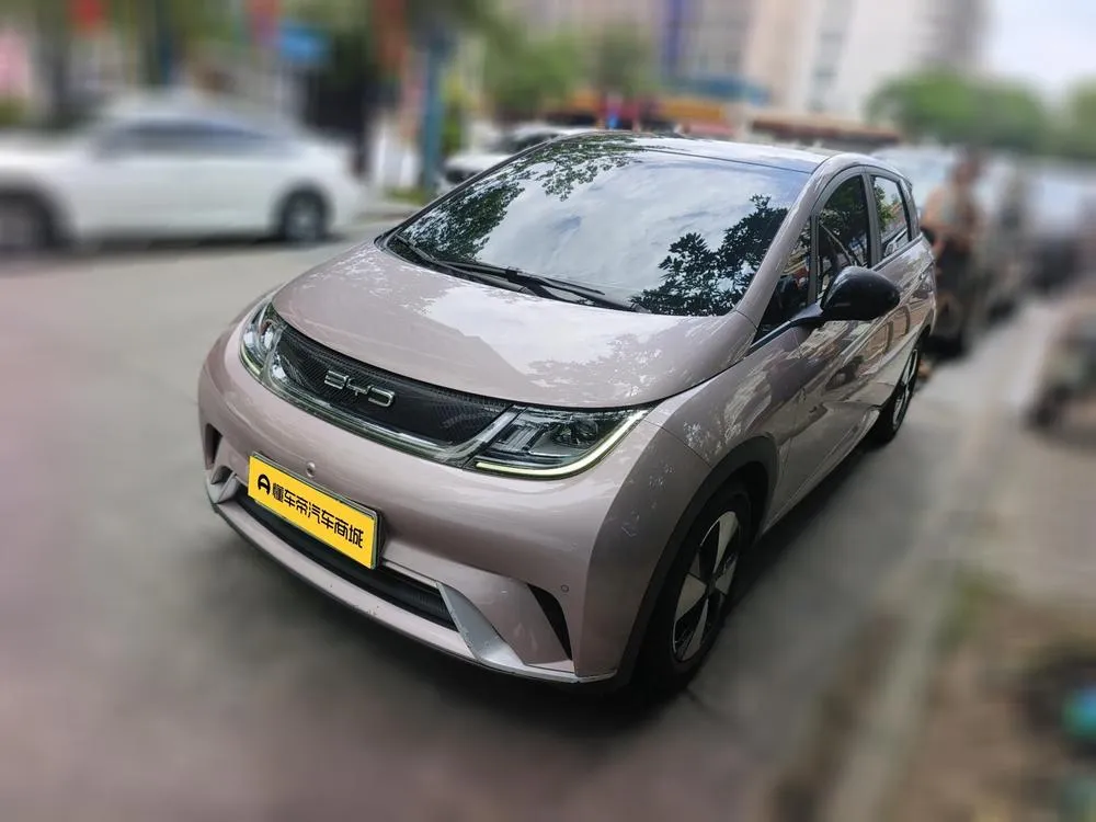 BYD Dolphin, 2023