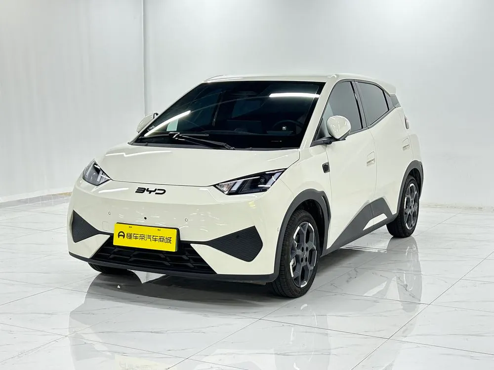 BYD Seagull, 2025