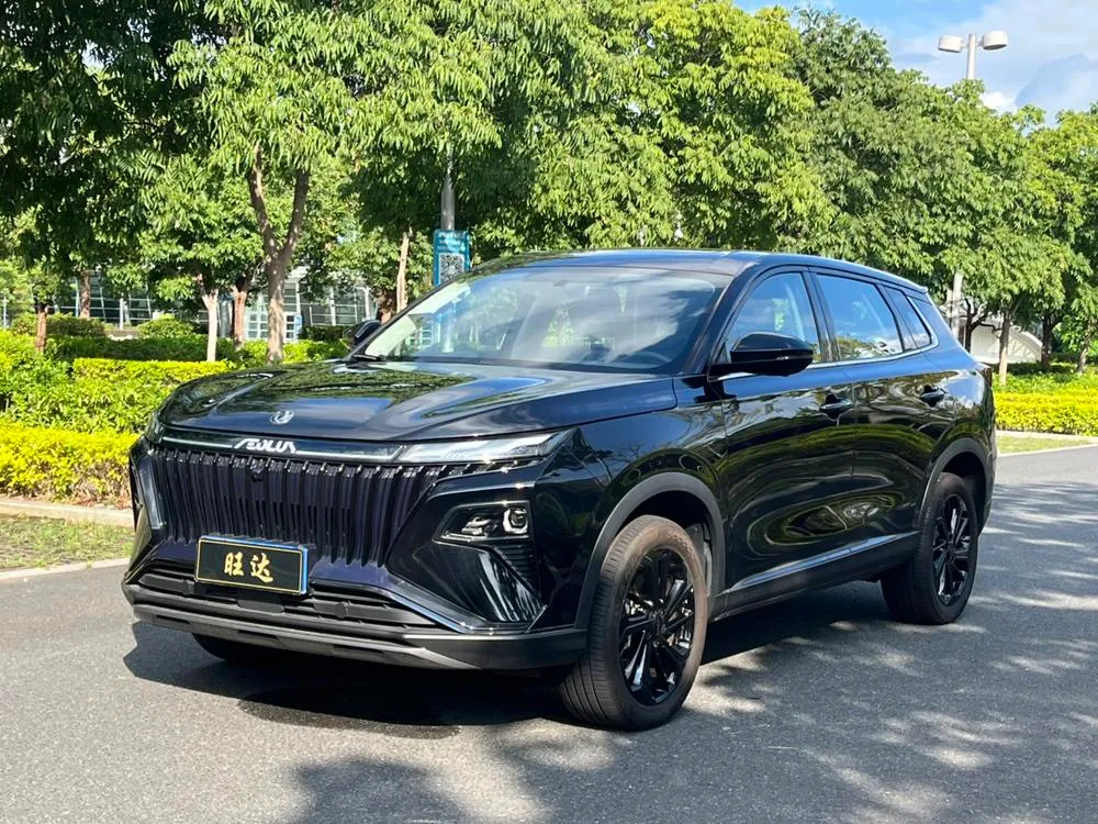 Dongfeng Fengshen Haoji, 2025