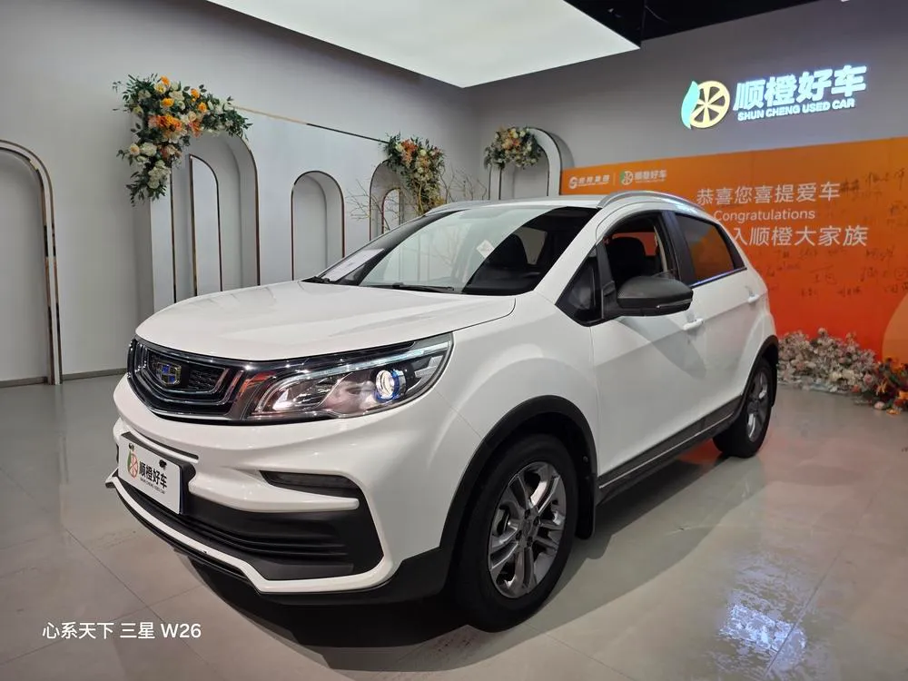 Geely Yuanjing X3, 2020