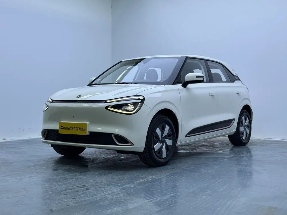 Dongfeng Yipai Nami 01, 2026