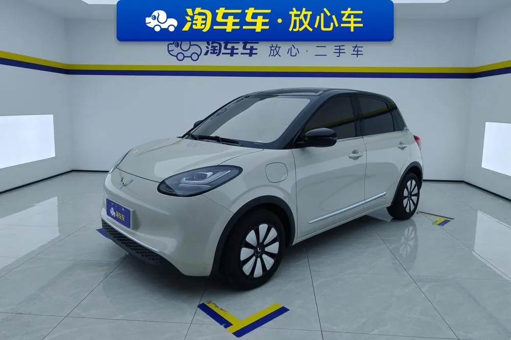 Wuling Bingo, 2024