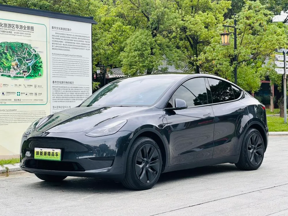 Tesla Model Y Edition, 2024 — фото 1