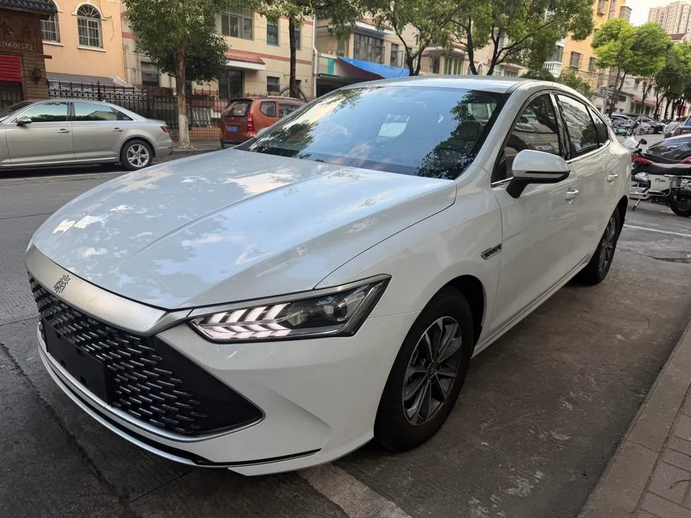 BYD Qin PLUS DM Glory Edition DM-i 55KM Leading Version, 2024 — фото 1