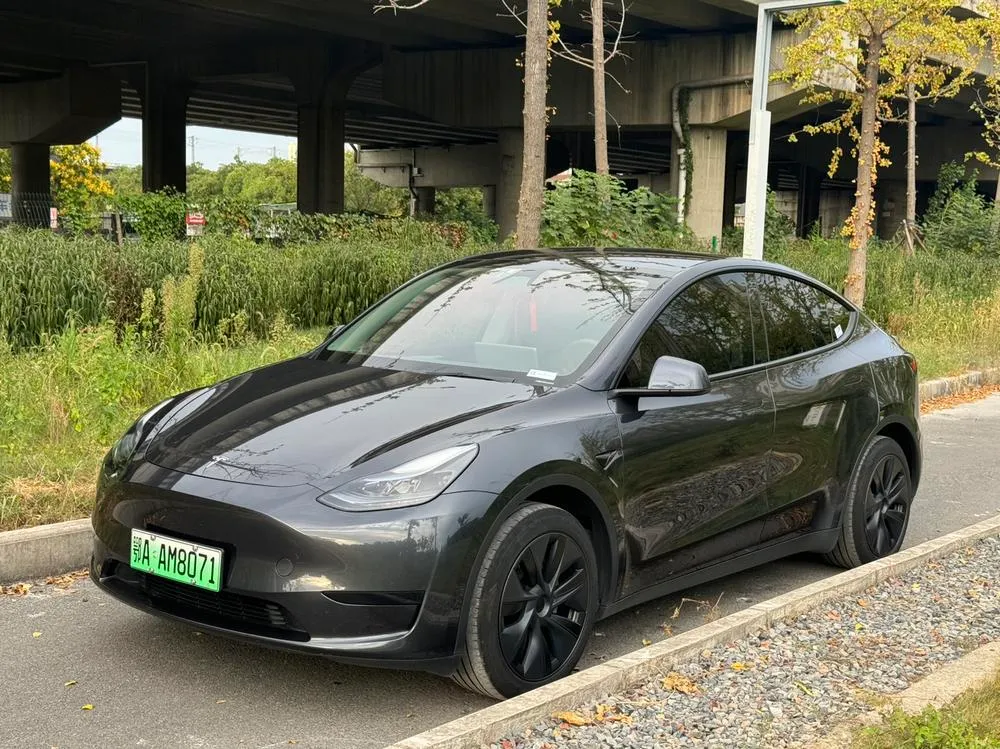 Tesla Model Y, 2024