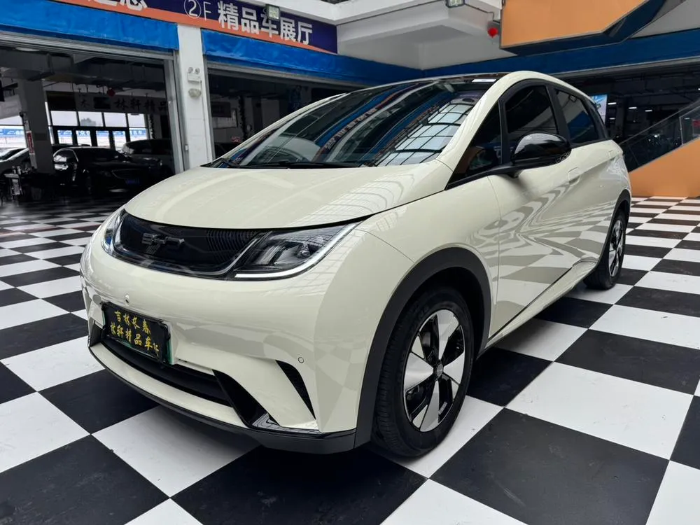 BYD Dolphin, 2023