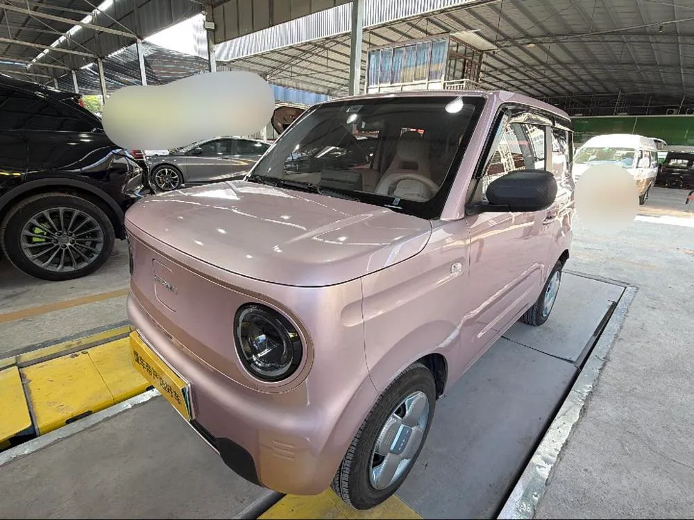 Galaxy Panda 200km mini PRO Edition, 2024 — фото 1
