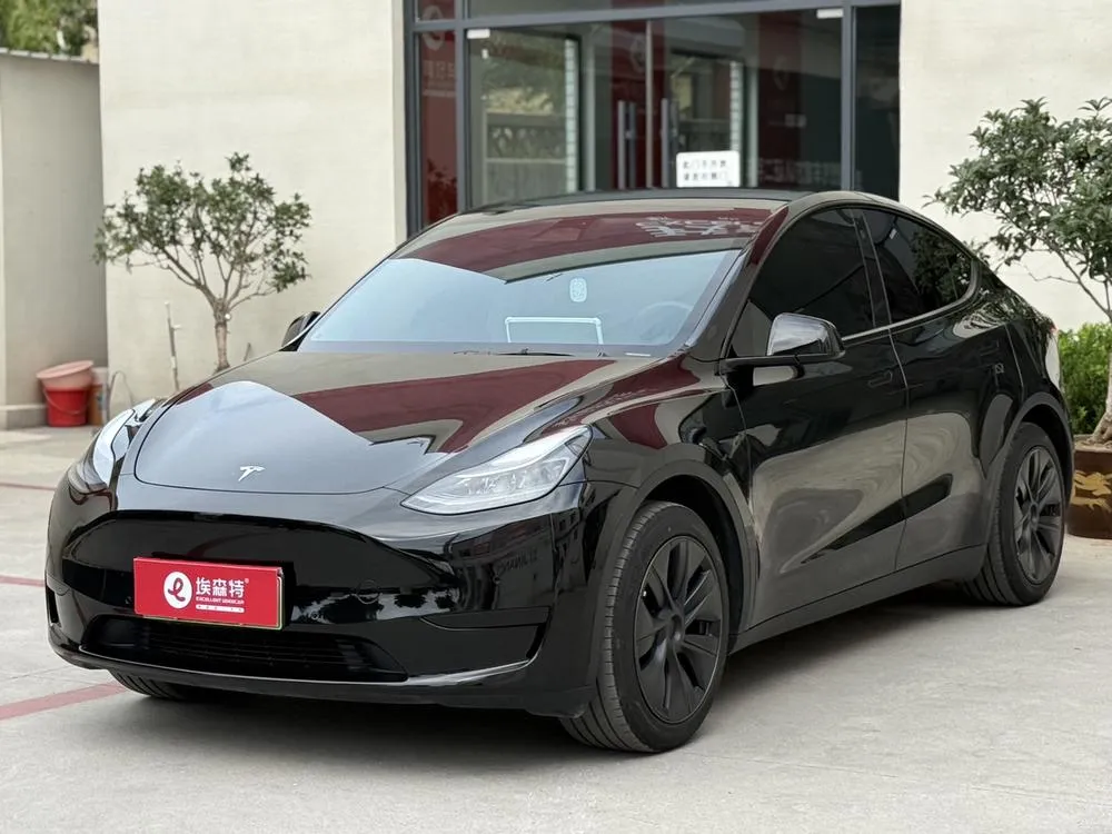 Tesla Model Y Edition, 2023 — фото 1