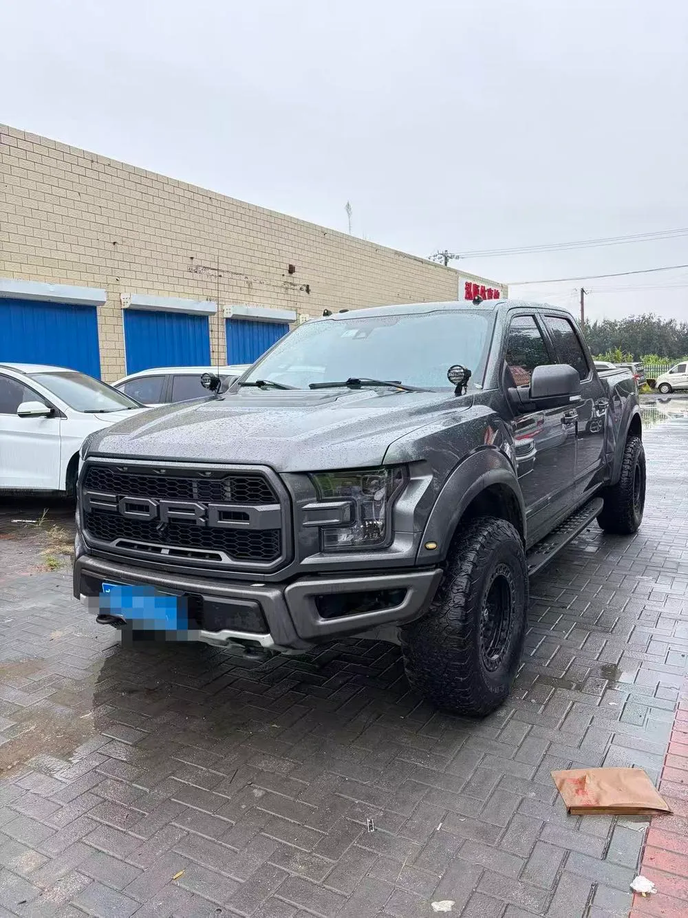 Ford F-150 Raptor 3.5T Performance Dynamic Edition, 2019 — фото 1