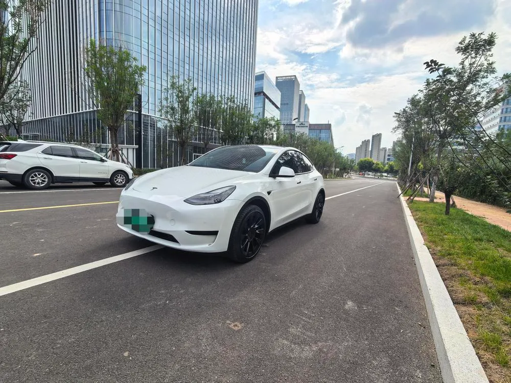 Tesla Model Y, 2022