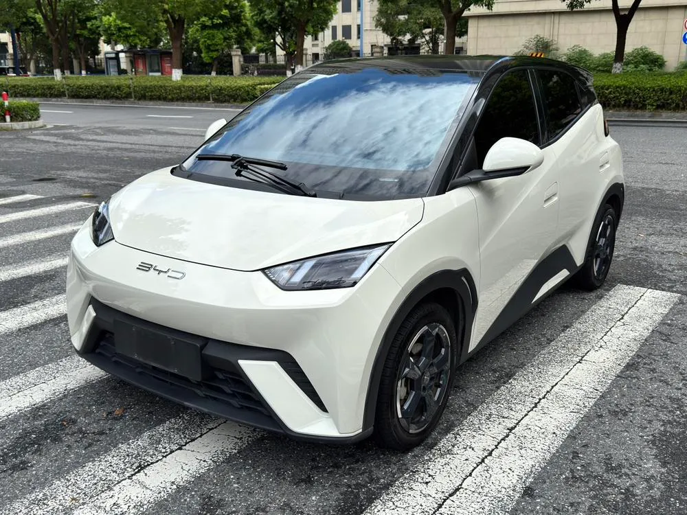 BYD Seagull, 2023