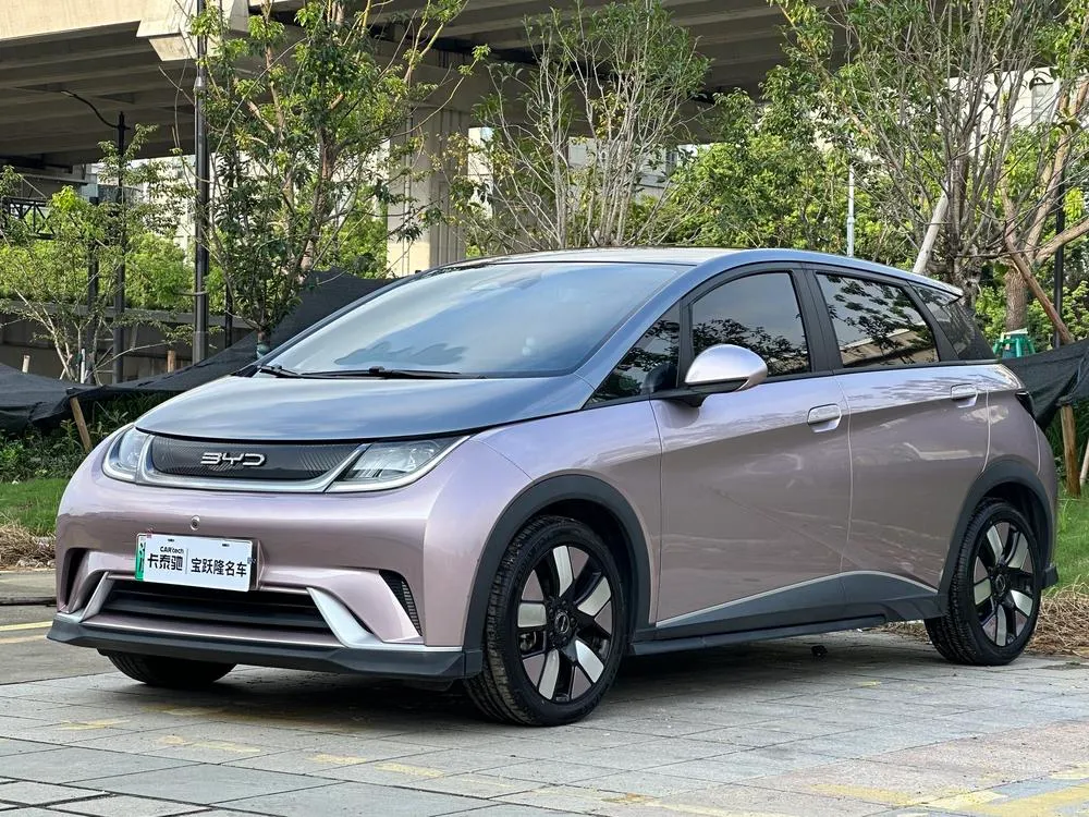 BYD Dolphin, 2021