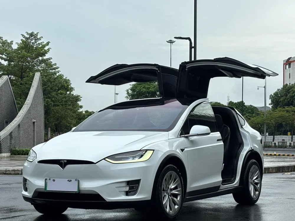 Tesla Model X 100D Long Range Edition, 2017 — фото 1