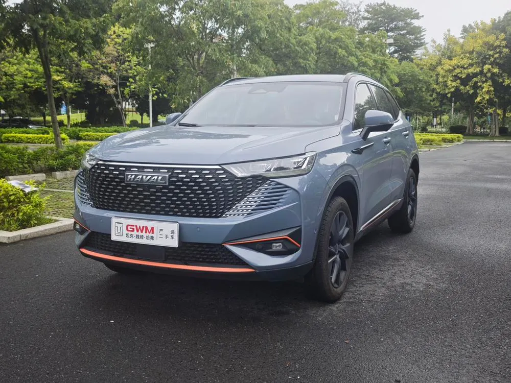 Haval H6, 2021