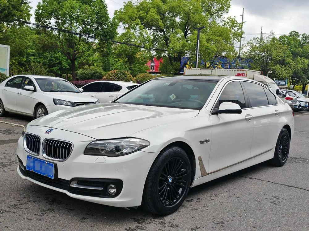 BMW 5-Series 525Li Luxury, 2014 — фото 1