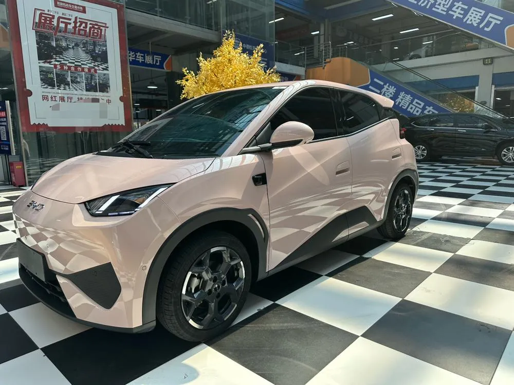 BYD Seagull, 2025