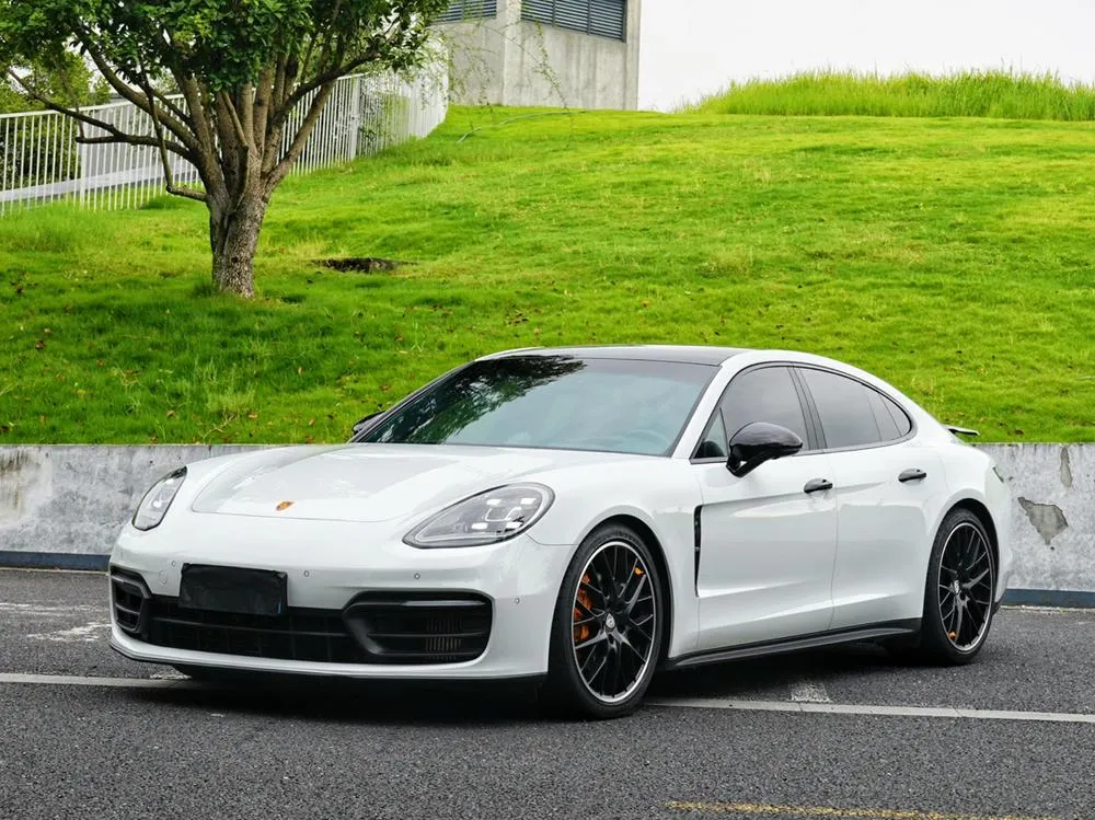 Porsche Panamera Panamera 2.9T, 2023 — фото 1