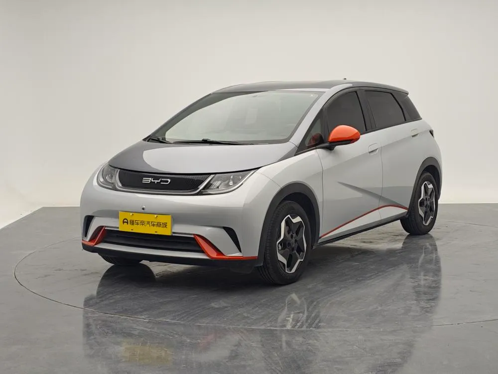 BYD Dolphin, 2021