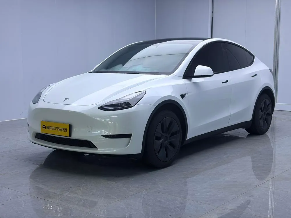 Tesla Model Y Edition, 2024 — фото 1