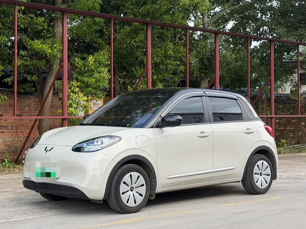 Wuling Bingo, 2024
