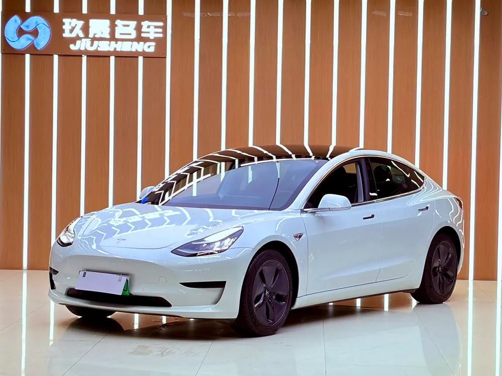 Tesla Model 3 (Import) Standard Range RWD Upgraded Edition, 2019 — фото 1