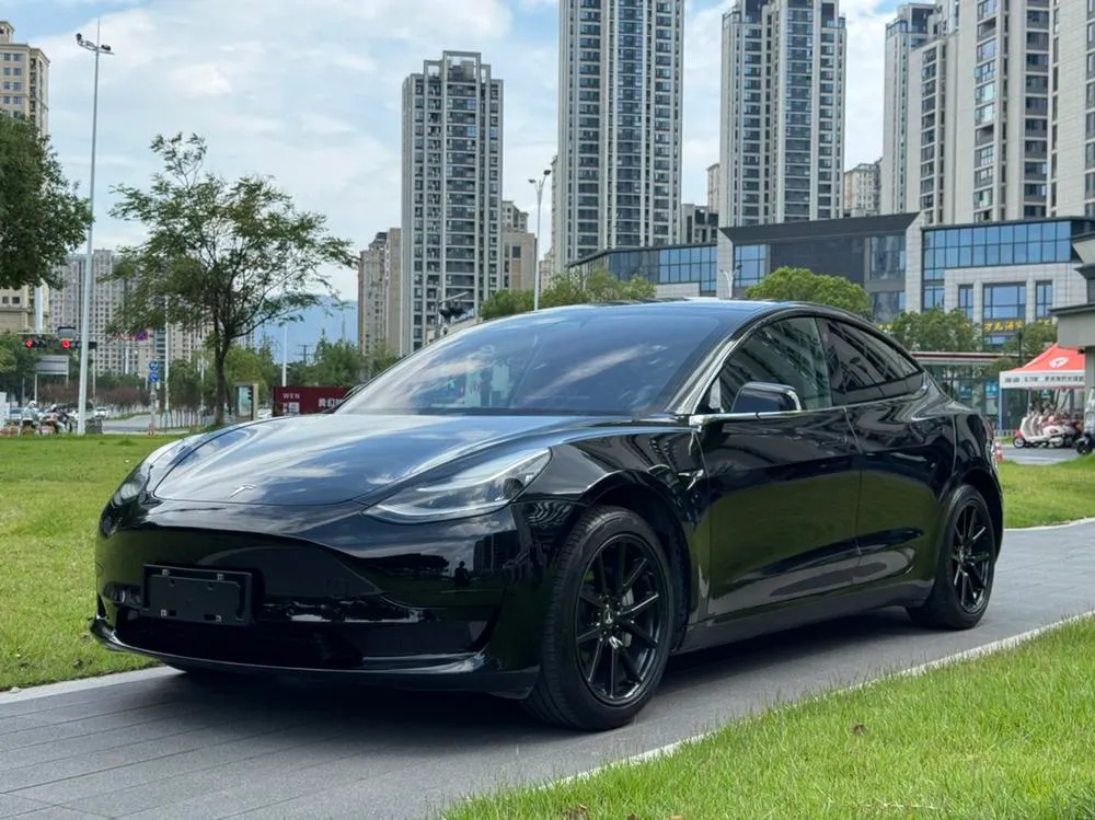Tesla Model 3 Standard Range RWD Upgraded Edition, 2020 — фото 1