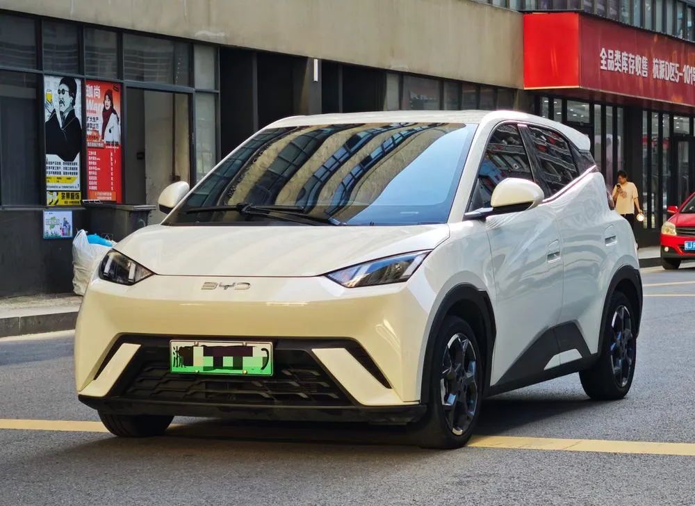 BYD Seagull, 2024