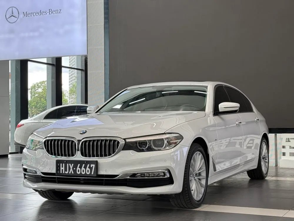 BMW 5-Series 530Li Leading Version Luxury, 2018 — фото 1