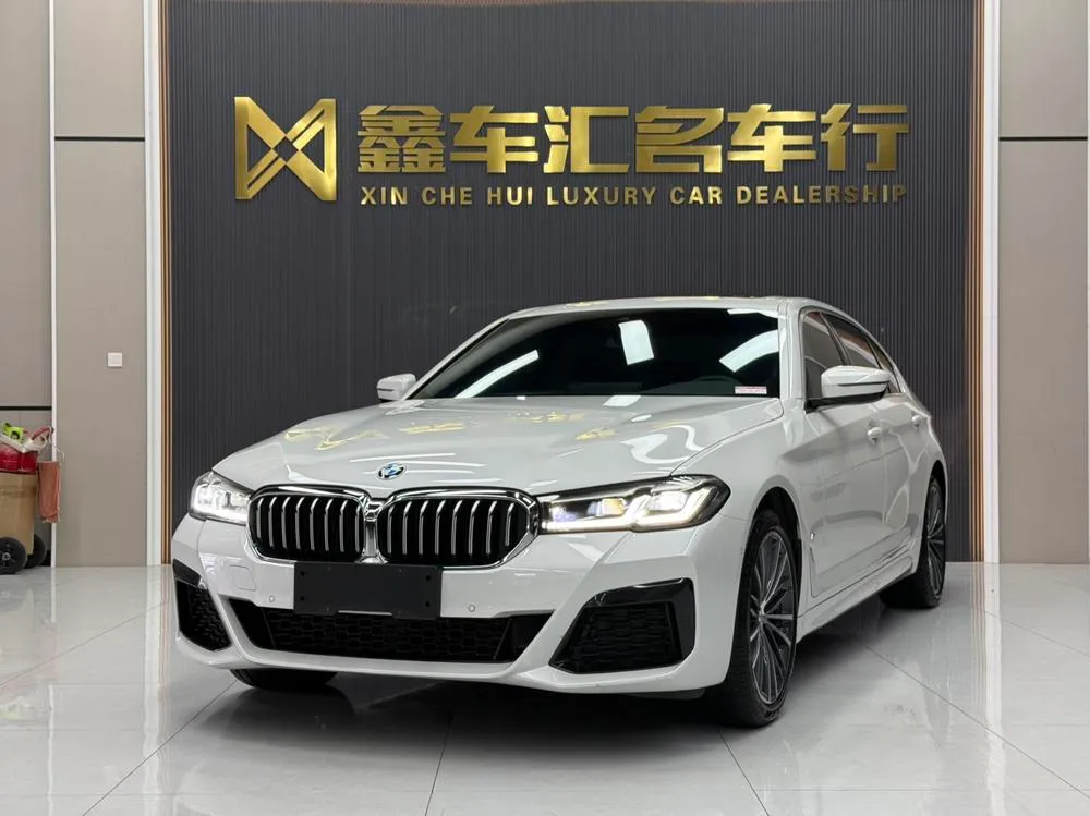 BMW 5-Series 530Li Leading Version M Sport, 2022 — фото 1