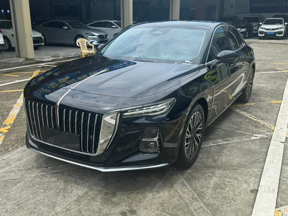 Hongqi H5, 2024