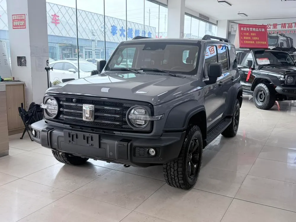 Tank 300 Offroad Edition 2.0T, 2021 — фото 1
