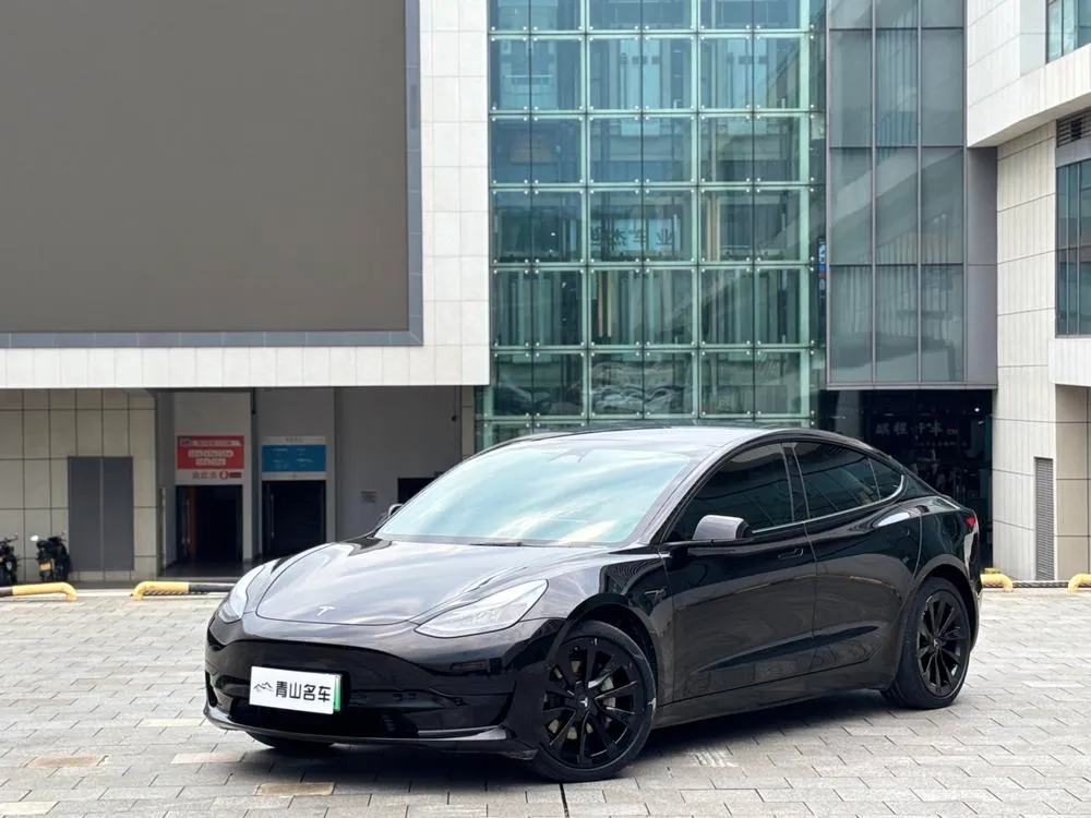Tesla Model 3 Edition, 2022 — фото 1