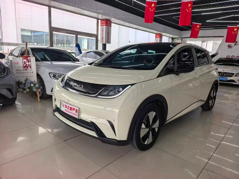 BYD Dolphin Fashion Edition, 2023 — фото 1
