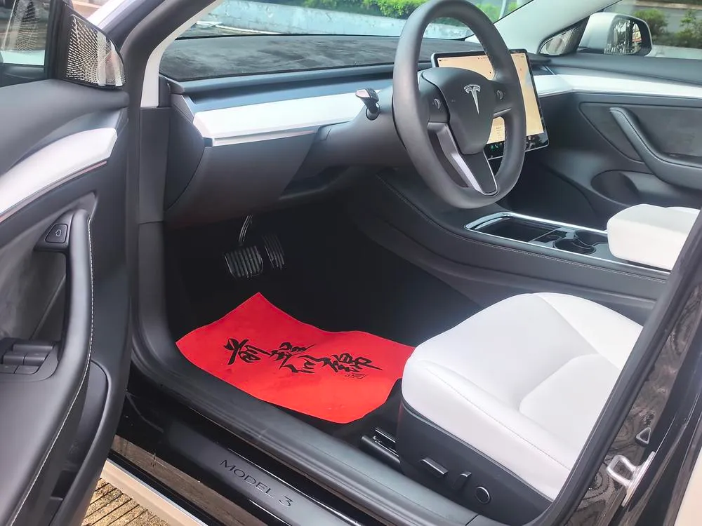 Tesla Model 3, 2022