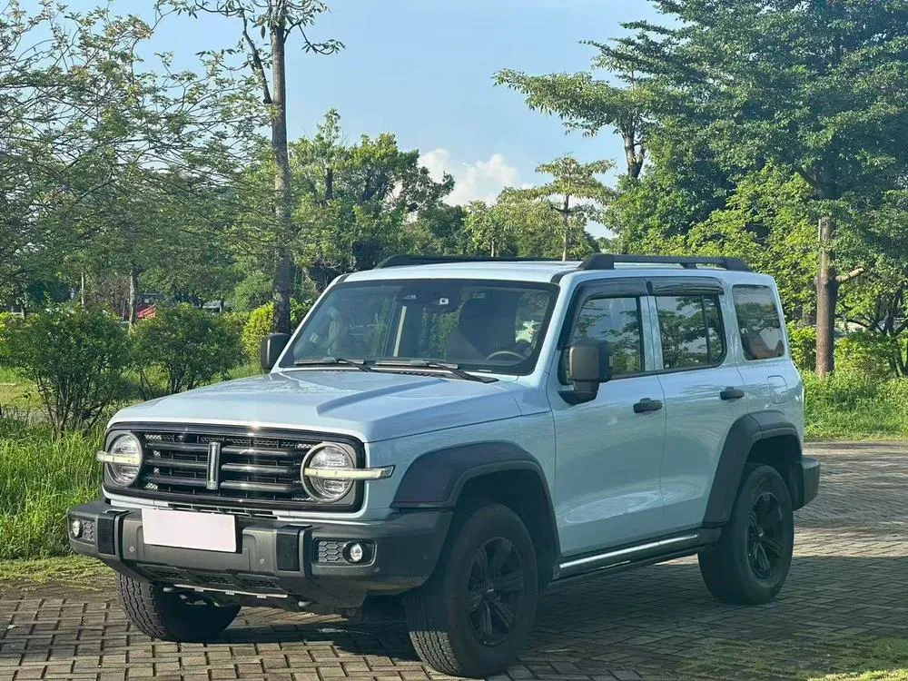 Tank 300, 2021