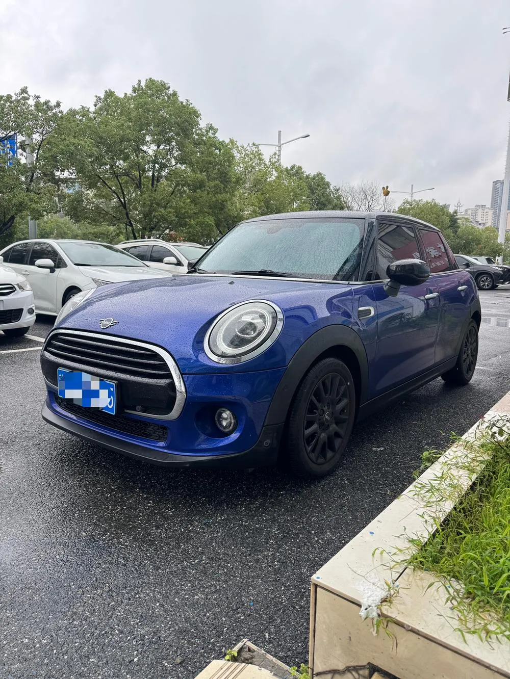 MINI MINI, 2019