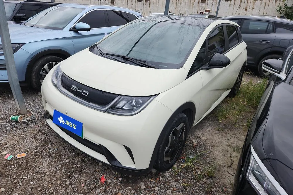 BYD Dolphin, 2021