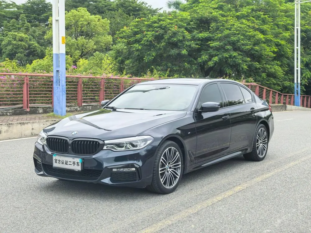 BMW 5-Series Facelift 530Li Prestige Version M Sport, 2018 — фото 1