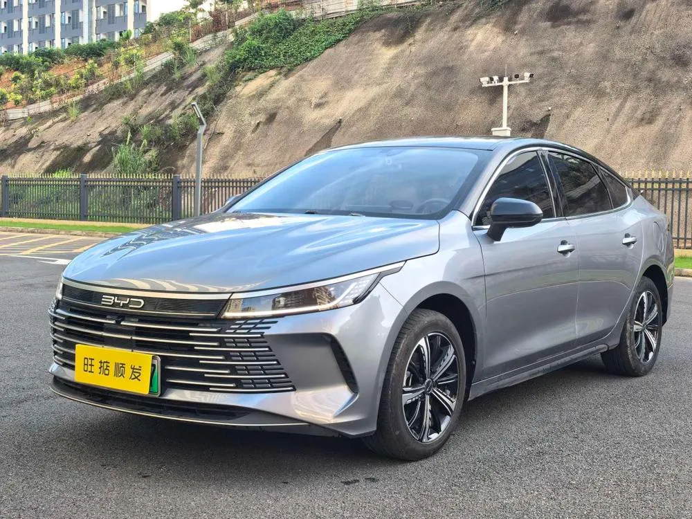 BYD Destroyer 05 DM-i Champion Edition 120KM Premium Version, 2023 — фото 1