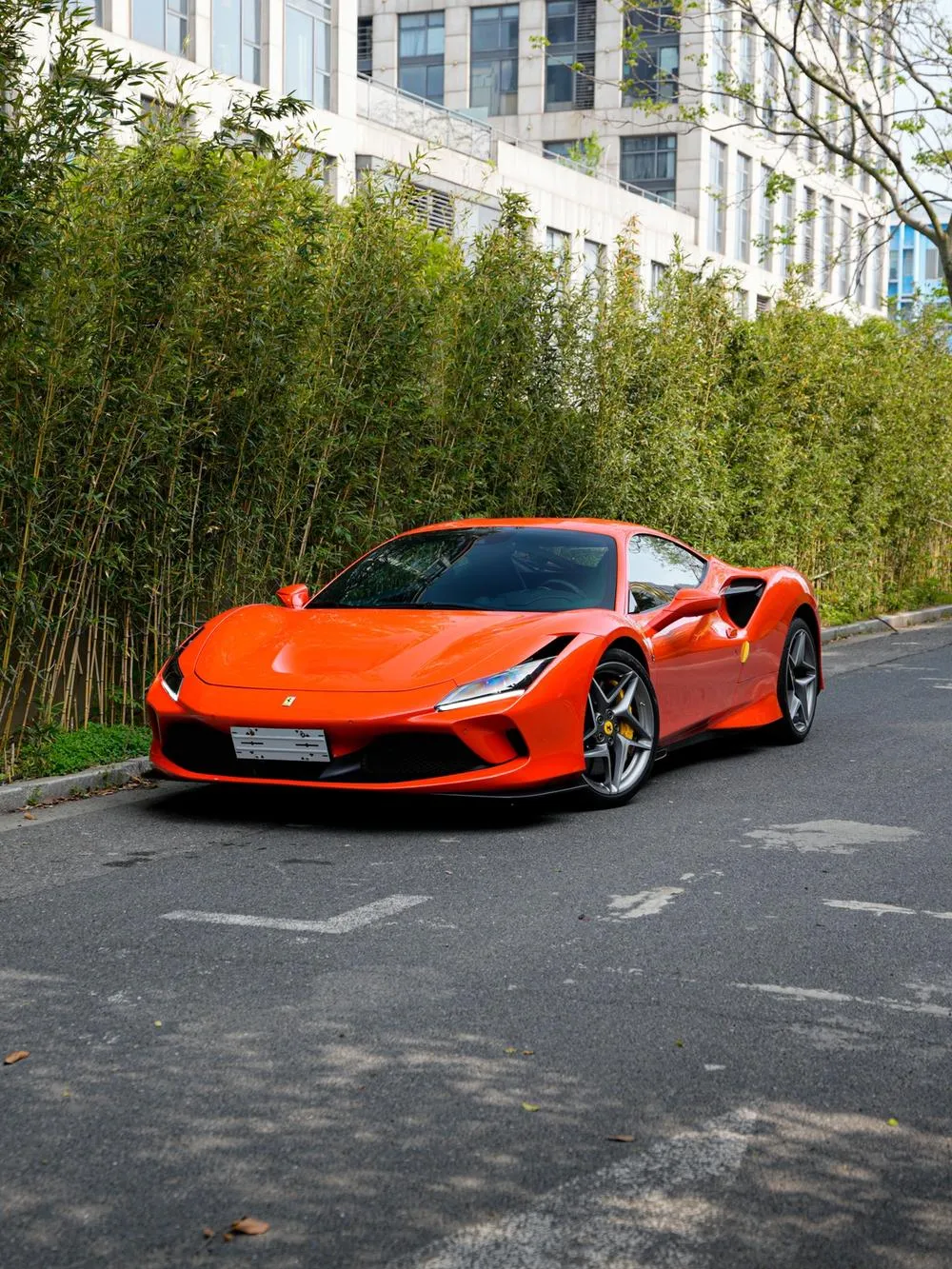 Ferrari F8 Tributo 3.9T V8, 2019 — фото 1